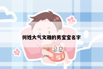 何姓大气文雅的男宝宝名字